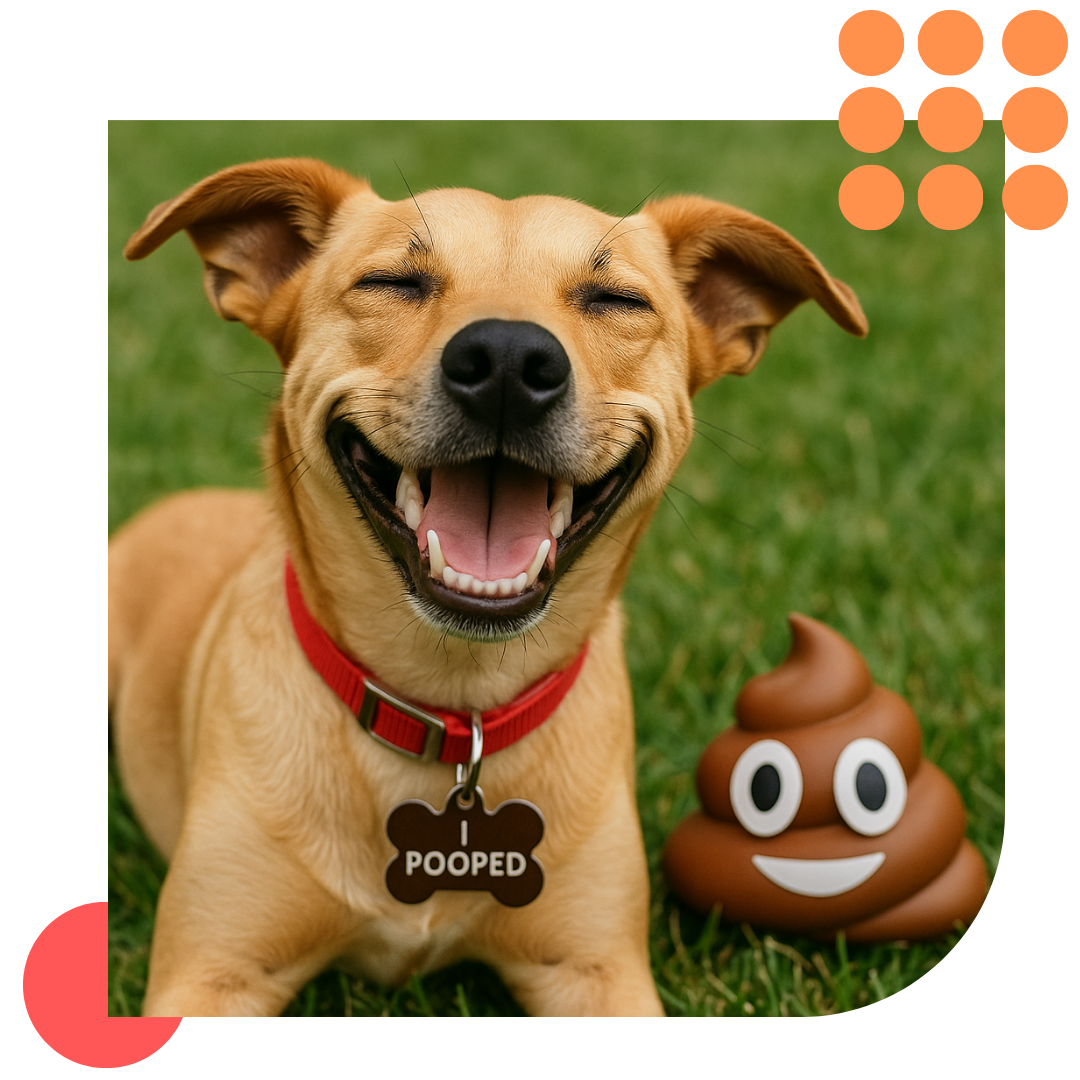 dog in Poop Savvy yard